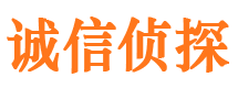 神农架市侦探调查公司